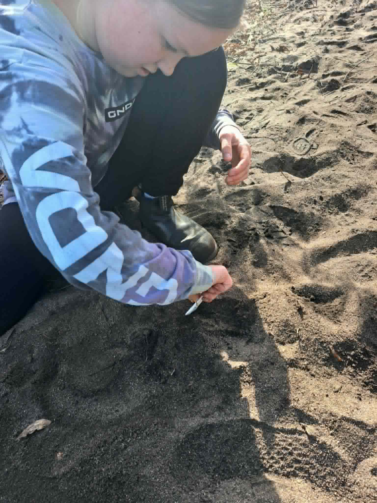 Photos BandicootHunt 11
