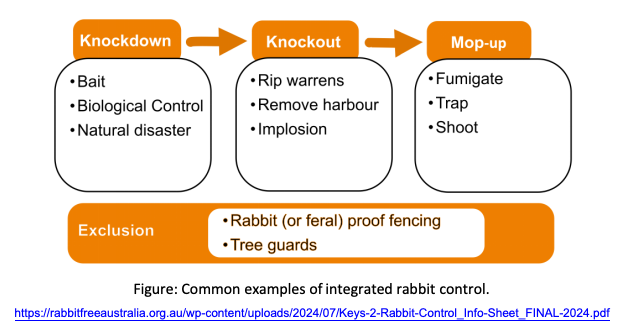 Screen_Shot_2024-09-30_at_2.44.22_pm.png