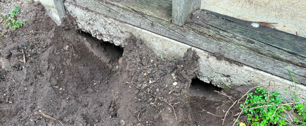 under_shed_holes.jpeg