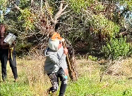 video-2.jpeg