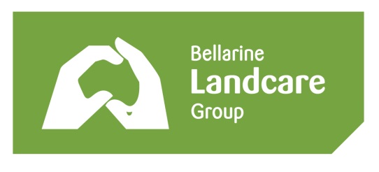 BLG Logo