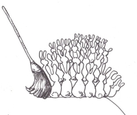 a broom moving a lot of rabbits...